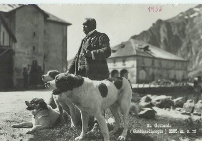 cartolina